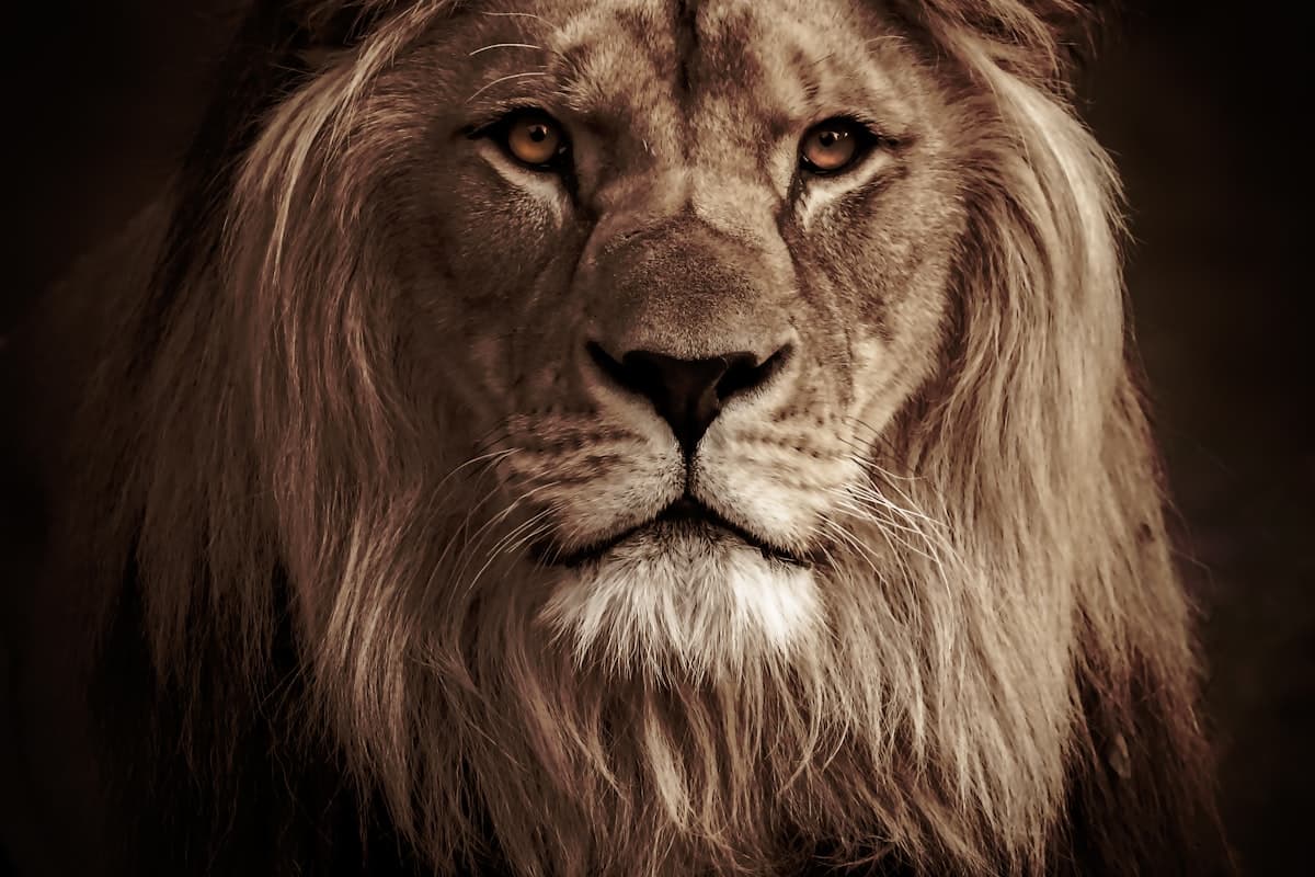 9 Days Wildlife & Bird Photography - Expert-Led Workshop