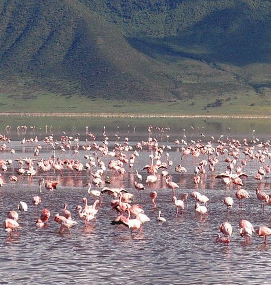 Ngorongoro Crater - Photo 4