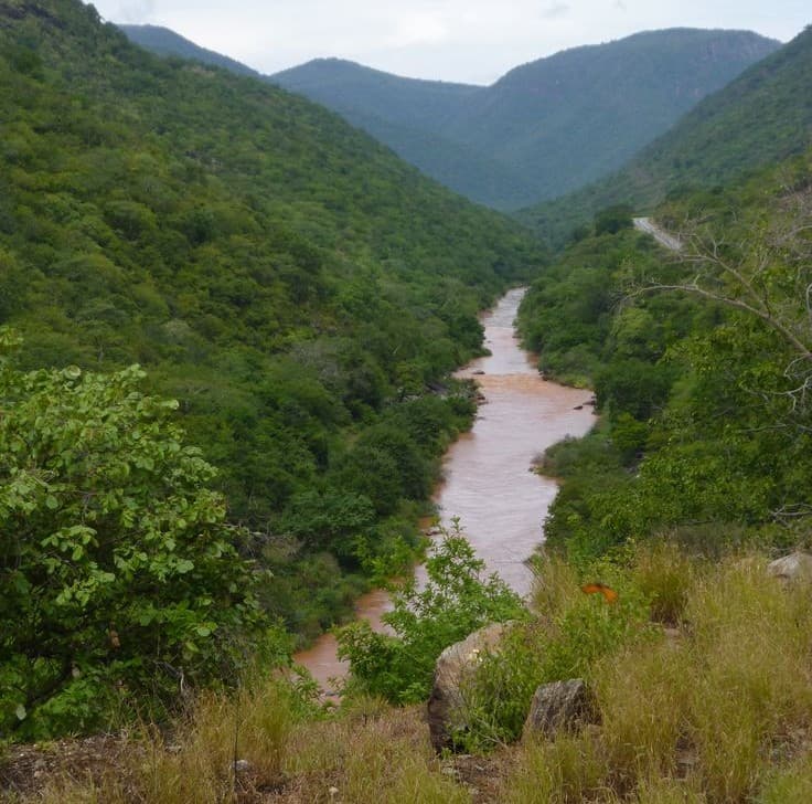 Ruaha National Park - Photo 5