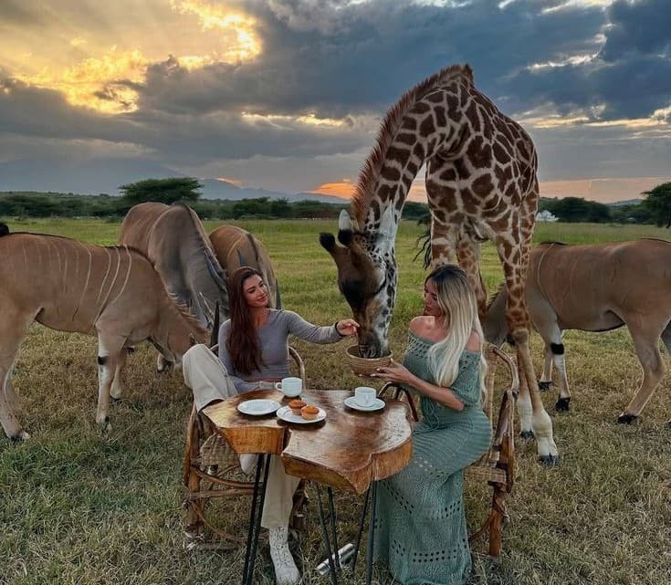 6 Days Memorable Luxury Safari - Northern Tanzania Premium Experience